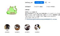 譲渡型保護猫カフェいせねこ・Instagram