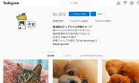 保護猫のティアハイム伊都にゃーご・Instagram