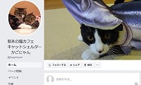 かごにゃん新市街店Facebook