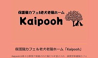 保護猫カフェKaipooh・ホームページ