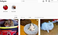 猫カフェかくれ家・Instagram
