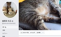 猫喫茶 毛玉Facebook