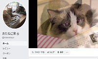 きたねこ家・Facebook