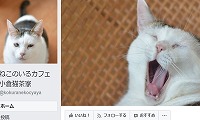 小倉猫茶家Facebook
