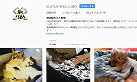 保護猫カフェ駒猫・Instagram