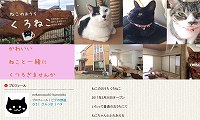 ねこのおうち・くろねこ・ブログ