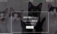 譲渡型猫カフェくるにゃん鎌倉店・HP
