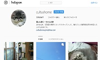 猫cafe宿くーちゃんの家・Instagram