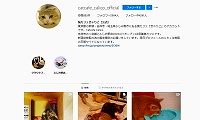 猫カフェきゃりこグループ・Instagram
