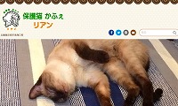 保護猫かふぇリアン・ホームページ