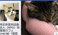 保護猫カフェラブラブ・Facebook