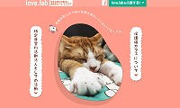 保護猫カフェラブラブ・ホームページ