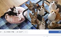 まほらねこ・Facebook