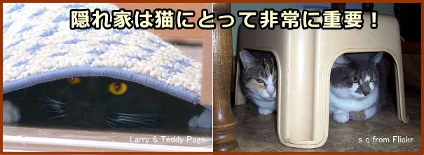 猫にとっての隠れ家は、ストレスを軽減するために必要なスペース