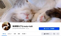 保護猫カフェmata×tabi・Facebook