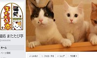 猫処またたび亭・Facebook