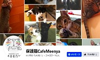 保護猫カフェMeenya・Facebook