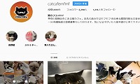 猫カフェmfmf・Instagram