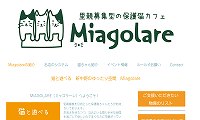 保護猫カフェMiagolare・ホームページ