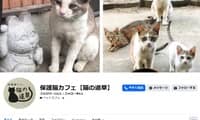 保護猫カフェ猫の道草・Facebook