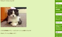 猫カフェMICO・ブログ