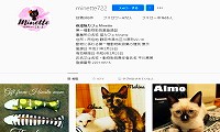保護猫カフェMinette・Instagram