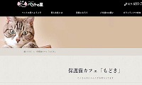 保護猫カフェもどき・ホームページ