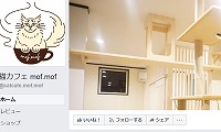 猫カフェmof.mof・Facebook