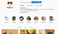 猫カフェにゃんくるmozoワンダーシティ店・Instagram