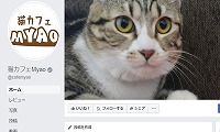 猫カフェMyao・Facebook
