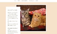 ねこカフェなる