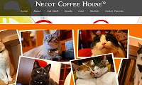 NECOT COFFEE HOUSE・ホームページ