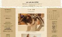 cat cafe ねこびやか-黒猫cmブログ