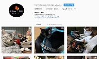 廣島ねこ奉行・Instagram