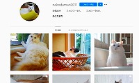 猫カフェねこだまり・Instagram