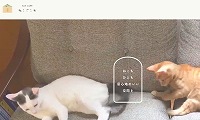 cat cafe ねこごこち・ホームページ