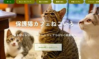 保護猫カフェねこいろ・ホームページ