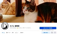 CatCafe猫時間・Facebook