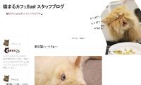 猫まるカフェブログ