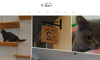 里親探しの猫カフェ猫結び・ホームページ