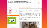 保護猫カフェ＆猫ホテルねこんチ・ブログ