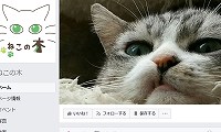 ねこの木・Facebook