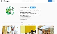 保護猫cafeねこのみち・Facebook