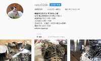 ネコのしっぽ・Instagram