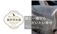 猫茶房五島・ホームページ