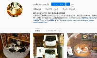デリデリねこ田さん家・instagram