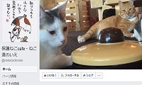 ねこ達のいえ・Facebook