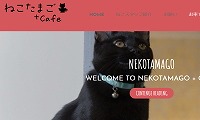 ねこたまご＋cafe・ホームページ