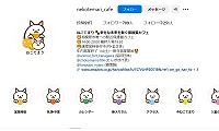 保護猫カフェねこてまり・Instagram