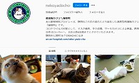 保護猫カフェ猫宿町・Instagram